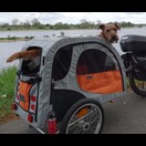 Inas Hund Rumo fährt natürlich mit.